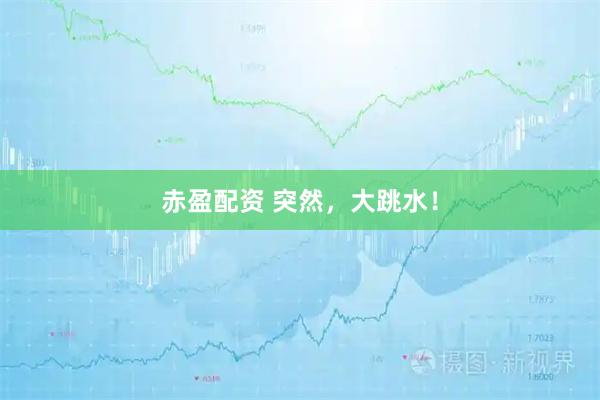 赤盈配资 突然，大跳水！
