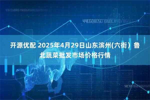 开源优配 2025年4月29日山东滨州(六街）鲁北蔬菜批发市场价格行情