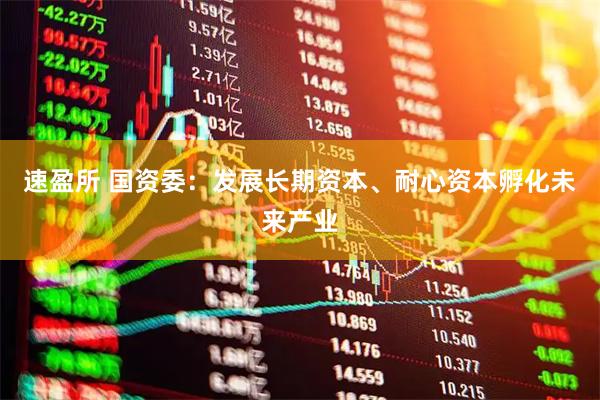 速盈所 国资委：发展长期资本、耐心资本孵化未来产业