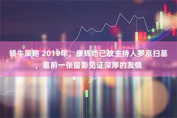 领牛策略 2019年,康辉给已故主持人罗京扫墓,墓前一张留影见证深厚的友情